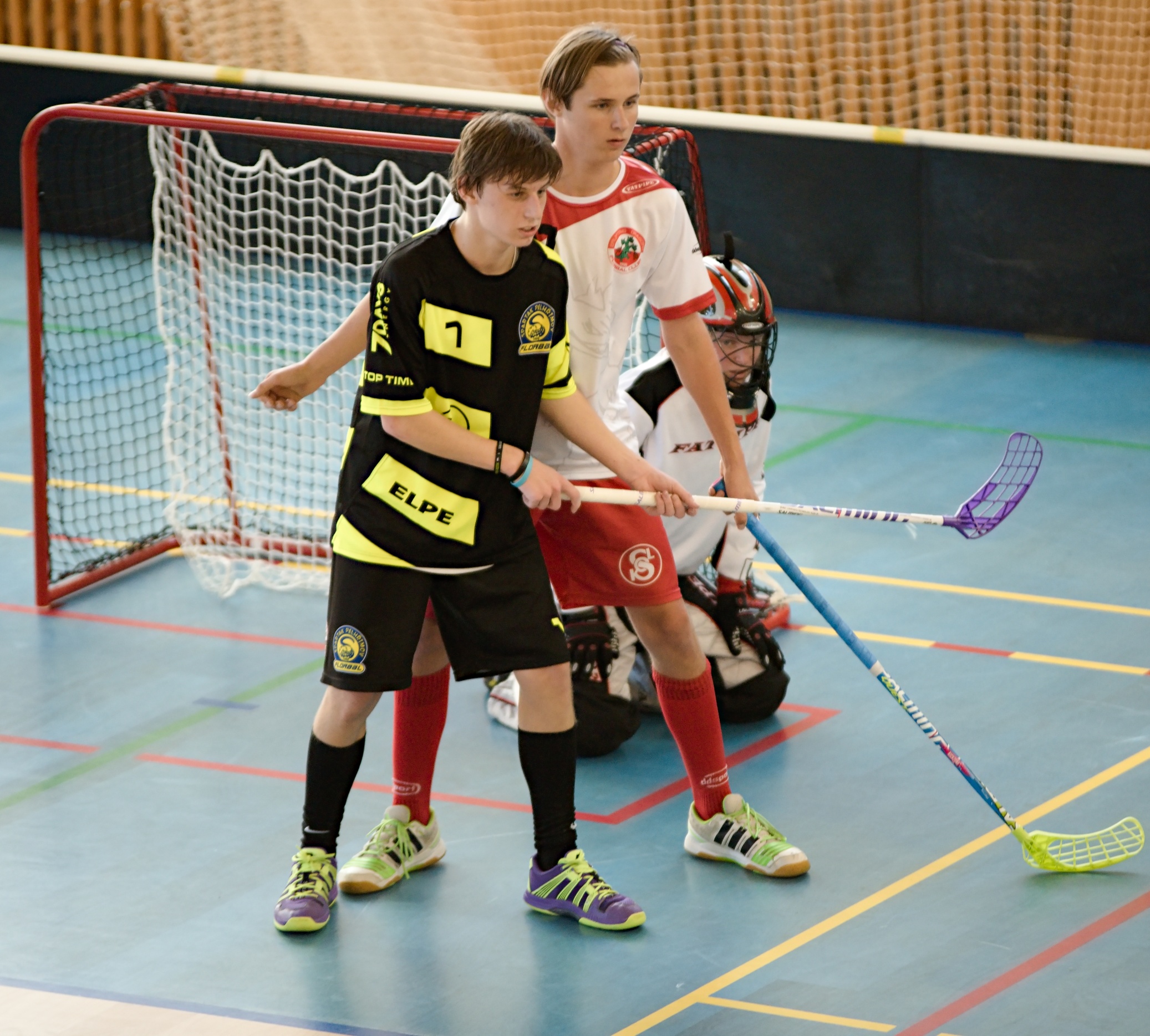 JunciLedec241015 088